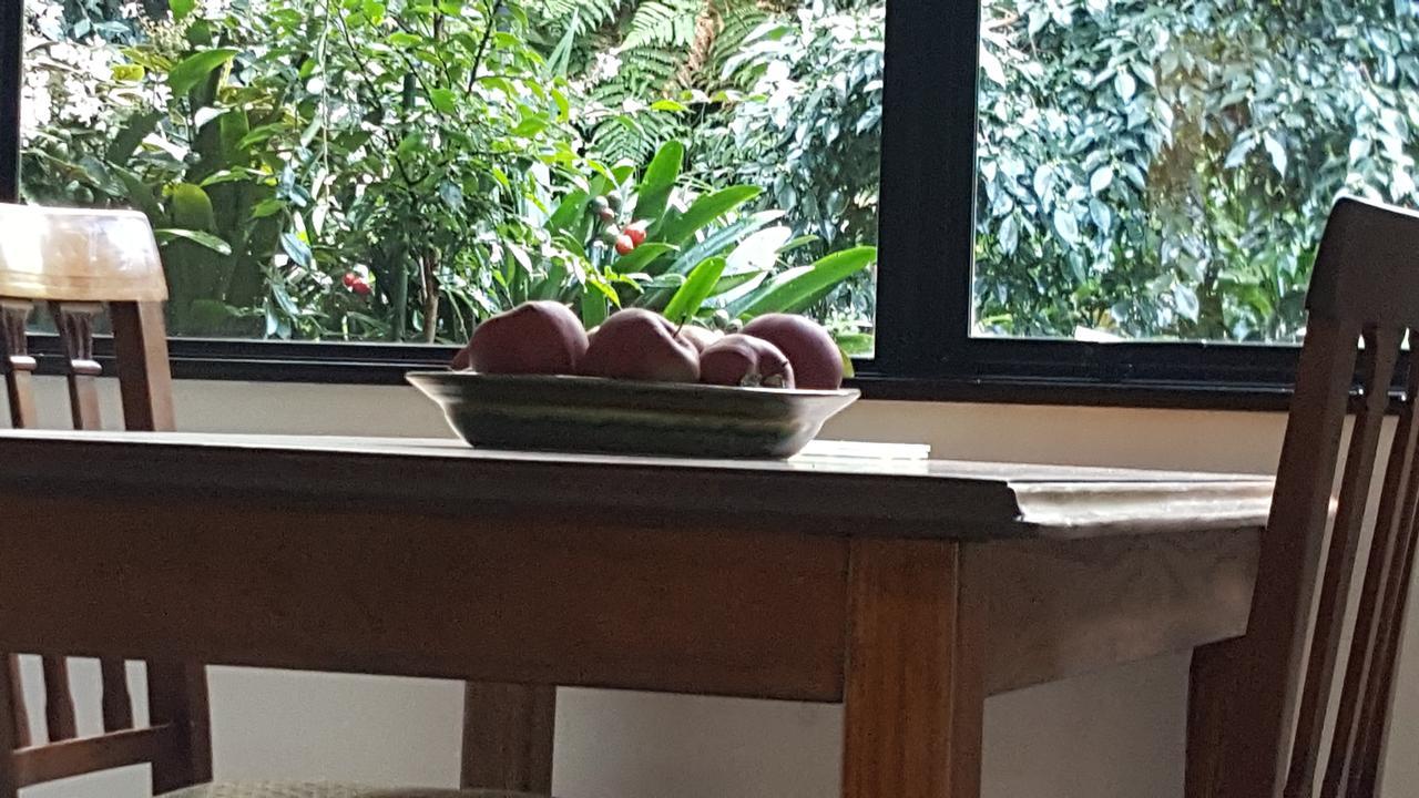 Sequoia Steps Bed and Breakfast Νιου Πλύμουθ Εξωτερικό φωτογραφία