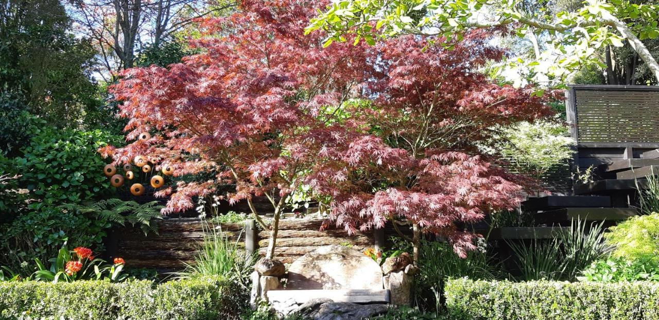 Sequoia Steps Bed and Breakfast Νιου Πλύμουθ Εξωτερικό φωτογραφία